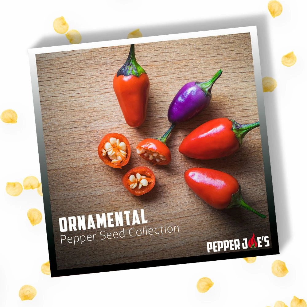 Ornamental Pepper Seed Collection(Ornamental Pepper Seed Collection) 5 Ornamental Pepper Seed Collection(Ornamental Pepper Seed Collection) - Image 3