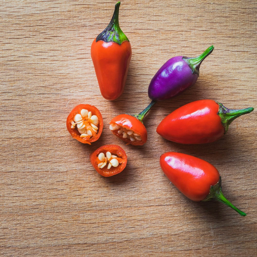 Ornamental Pepper Seed Collection(Ornamental Pepper Seed Collection) 3 Ornamental Pepper Seed Collection(Ornamental Pepper Seed Collection)