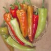 Inferno F1 Pepper Seeds(Inferno F1 Pepper Seeds) -Pepper Joe shop P2750