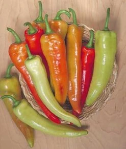Inferno F1 Pepper Seeds(Inferno F1 Pepper Seeds)