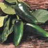 Mucho Nacho F1 Pepper Seeds(Mucho Nacho F1 Pepper Seeds) 2 Mucho Nacho F1 Pepper Seeds(Mucho Nacho F1 Pepper Seeds) -Pepper Joe shop P4163