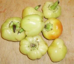 Apple Hungarian Pepper Seeds(Apple Hungarian Pepper Seeds)