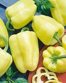 White Zinfandel F1 Pepper Seeds(White Zinfandel F1 Pepper Seeds)