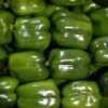 Emerald Giant Pepper Seeds(Emerald Giant Pepper Seeds)