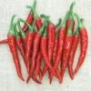 Ring Of Fire Pepper Seeds(Ring Of Fire Pepper Seeds) -Pepper Joe shop P8193 1