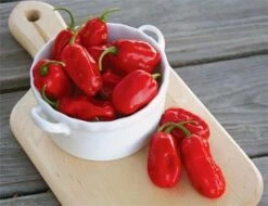 Zavory Pepper Seeds(Zavory Pepper Seeds)