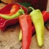 Dante's Hot Pepper Seeds(Dantes Hot Pepper Seeds) -Pepper Joe shop P8825