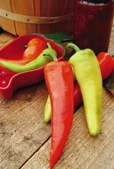 Dante's Hot Pepper Seeds(Dantes Hot Pepper Seeds)