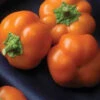 Orange You Sweet F1 Pepper Seeds(Orange You Sweet F1 Pepper Seeds) -Pepper Joe shop P9228