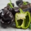 Midnight Dream Pepper Seeds(Midnight Dream Pepper Seeds) 2 Midnight Dream Pepper Seeds(Midnight Dream Pepper Seeds) -Pepper Joe shop P9494