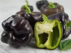 Midnight Dream Pepper Seeds(Midnight Dream Pepper Seeds)