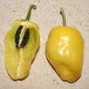 Yellow Rocoto Pepper Seeds(Yellow Rocoto Pepper Seeds) 2 Yellow Rocoto Pepper Seeds(Yellow Rocoto Pepper Seeds) -Pepper Joe shop P9619