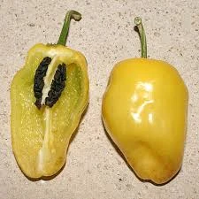 Yellow Rocoto Pepper Seeds(Yellow Rocoto Pepper Seeds)