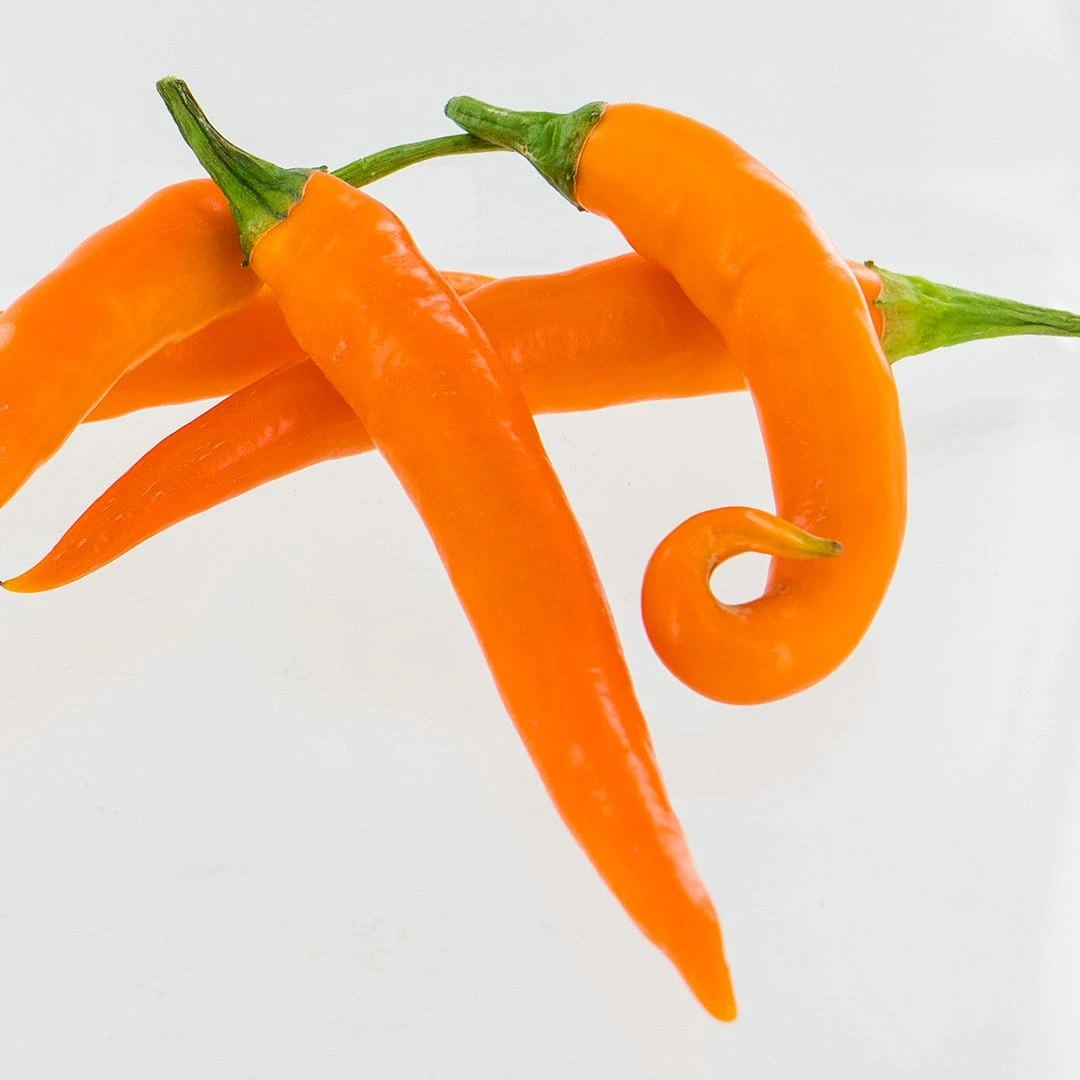 Pepper Joe's Thai Blend Pepper Seeds(Pepper Joes Thai Blend Pepper Seeds) 4 Pepper Joe's Thai Blend Pepper Seeds(Pepper Joes Thai Blend Pepper Seeds) - Image 2