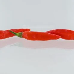 Pepper Joe's Thai Blend Pepper Seeds(Pepper Joes Thai Blend Pepper Seeds) 7 Pepper Joe's Thai Blend Pepper Seeds(Pepper Joes Thai Blend Pepper Seeds) -Pepper Joe shop PJ Thai Blend2