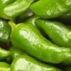 Padron Pepper Seeds(Padron Pepper Seeds) -Pepper Joe shop PadronPepper1