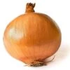 Patterson Onion Seeds(Patterson Onion Seeds) 2 Patterson Onion Seeds(Patterson Onion Seeds) -Pepper Joe shop Patterson Onion Seed