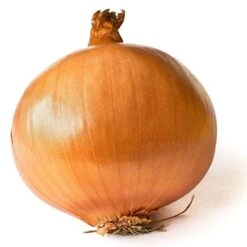 Patterson Onion Seeds(Patterson Onion Seeds)