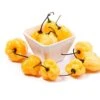 Peach Habanero Pepper Seeds(Peach Habanero) 1 Peach Habanero Pepper Seeds(Peach Habanero) -Pepper Joe shop PeachHab