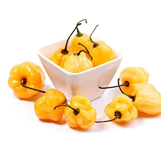 Peach Habanero Pepper Seeds(Peach Habanero) 3 Peach Habanero Pepper Seeds(Peach Habanero)