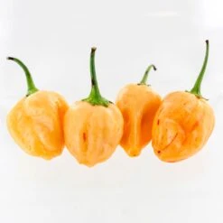 Peachadew Pepper Seeds(Peachadew Pepper Seeds)