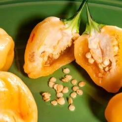 Peachadew Pepper Seeds(Peachadew Pepper Seeds) -Pepper Joe shop Peachadew.03