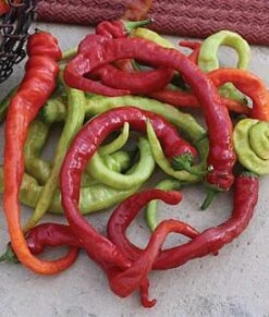 Ristra Cayenne Pepper Seeds(Ristra Cayenne Pepper Seeds)