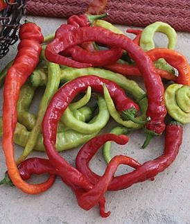 Ristra Cayenne Pepper Seeds(Ristra Cayenne Pepper Seeds) 3 Ristra Cayenne Pepper Seeds(Ristra Cayenne Pepper Seeds)