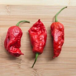 King Naga Pepper Seeds(King Naga)