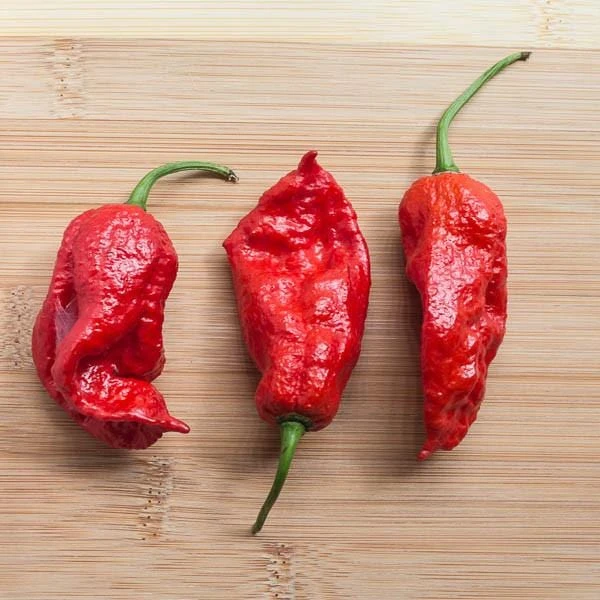 King Naga Pepper Seeds(King Naga) 3 King Naga Pepper Seeds(King Naga)