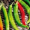 Italian Roaster Pepper Seeds(Italian Roaster Pepper Seed) -Pepper Joe shop PepperItalianRoaster