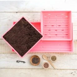 1010 Microgreens Kit(1010 Microgreens Kit) -Pepper Joe shop Pink 1010 Microgreens Kit Lifestyle