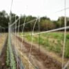 Trellis Netting | 6" Mesh(Trellis Netting 6 Mesh) 2 Trellis Netting | 6" Mesh(Trellis Netting 6 Mesh) -Pepper Joe shop PlasticTrellisNet 6