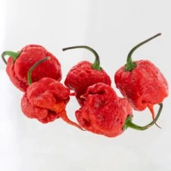 Purple Death Pepper Seeds(Purple Death Pepper Seeds)