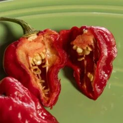 Purple Ghost Scorpion Pepper Seeds(Purple Ghost Scorpion Pepper Seeds) -Pepper Joe shop Purple Ghost Scorpion.03