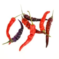 Purple Thai Pepper Seeds(Purple Thai Pepper Seeds)