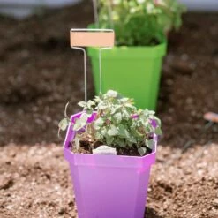 5" Heavy Duty Nursery Pots(5 Heavy Duty Nursery Pots) -Pepper Joe shop Purple5 NurseryPot TippedforDepthView af97732a 5399 4556 96c0 2cd62a00cb61