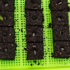 Soil Blocking Starter Kit(Soil Blocking Starter Kit) -Pepper Joe shop PurpleGreenSoilBlockMeshTrays