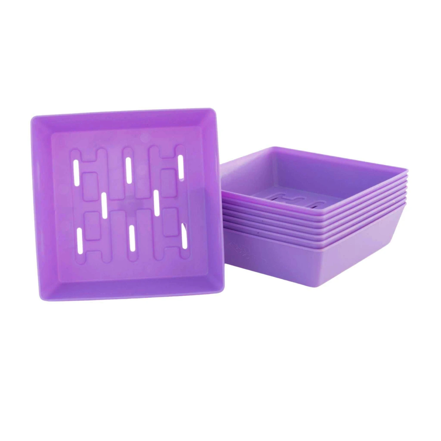 5X5 Shallow Microgreen Trays(5x5 Shallow Microgreen Trays) 17 5X5 Shallow Microgreen Trays(5x5 Shallow Microgreen Trays) - Image 15