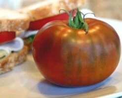 Purple Boy Hybrid Tomato Seeds(Purple Boy Hybrid Tomato Seeds)