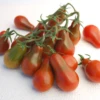 Chocolate Pear Tomato Seeds(Chocolate Pear Tomato Seeds) -Pepper Joe shop RESIZED EDITED 4000x5000px 47