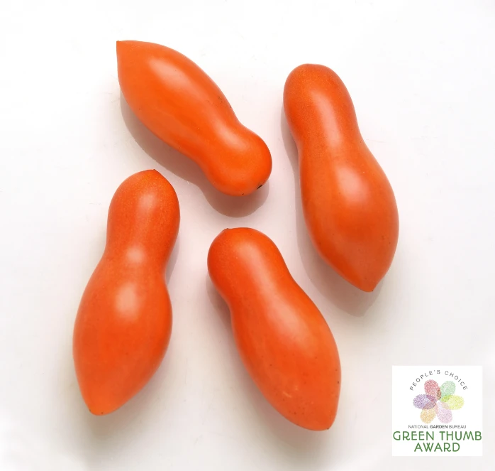 Sun Dipper Hybrid Tomato Seeds(Sun Dipper Hybrid Tomato Seeds) 3 Sun Dipper Hybrid Tomato Seeds(Sun Dipper Hybrid Tomato Seeds)