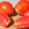 Yaqui Hybrid Tomato Seeds(Yaqui Hybrid Tomato Seeds) -Pepper Joe shop RESIZED EDITED d1499cae c288 4bb8 9f97 f4f9344ab30b