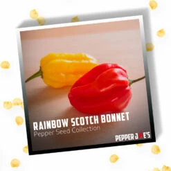Rainbow Scotch Bonnet Pepper Seed Collection(Scotch Bonnet Rainbow Collection) -Pepper Joe shop Rainbow Scotch Bonnet Pepper Seed Collection.02