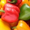 Rainbow Sweet Bell Pepper Seeds Mix(Rainbow Sweet Bell Mix) -Pepper Joe shop RainbowBell
