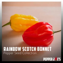 Rainbow Scotch Bonnet Pepper Seed Collection(Scotch Bonnet Rainbow Collection) -Pepper Joe shop RainbowScotchBonnetPepperSeedCollection