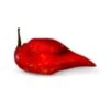 Red Devils Tongue Pepper Seeds(Red Devils Tongue)