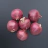 Red Mountain Hybrid Onion Seeds(Red Mountain Hybrid Onion Seeds) 1 Red Mountain Hybrid Onion Seeds(Red Mountain Hybrid Onion Seeds) -Pepper Joe shop RedMountain 561