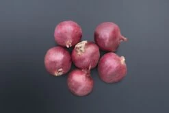 Red Mountain Hybrid Onion Seeds(Red Mountain Hybrid Onion Seeds)
