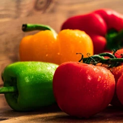 Salsa In A Box Seed Collection(Salsa In A Box)